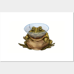 Surgery Frog Posters and Art